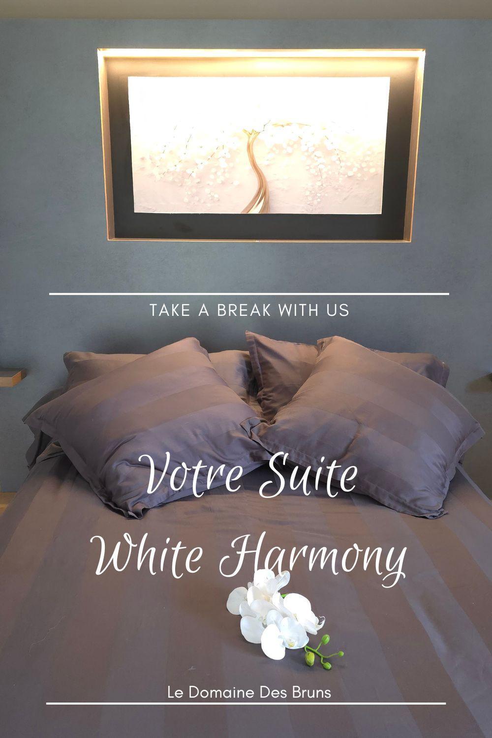Domaine Des Bruns Bed & Breakfast Chatillon-Coligny Exterior photo