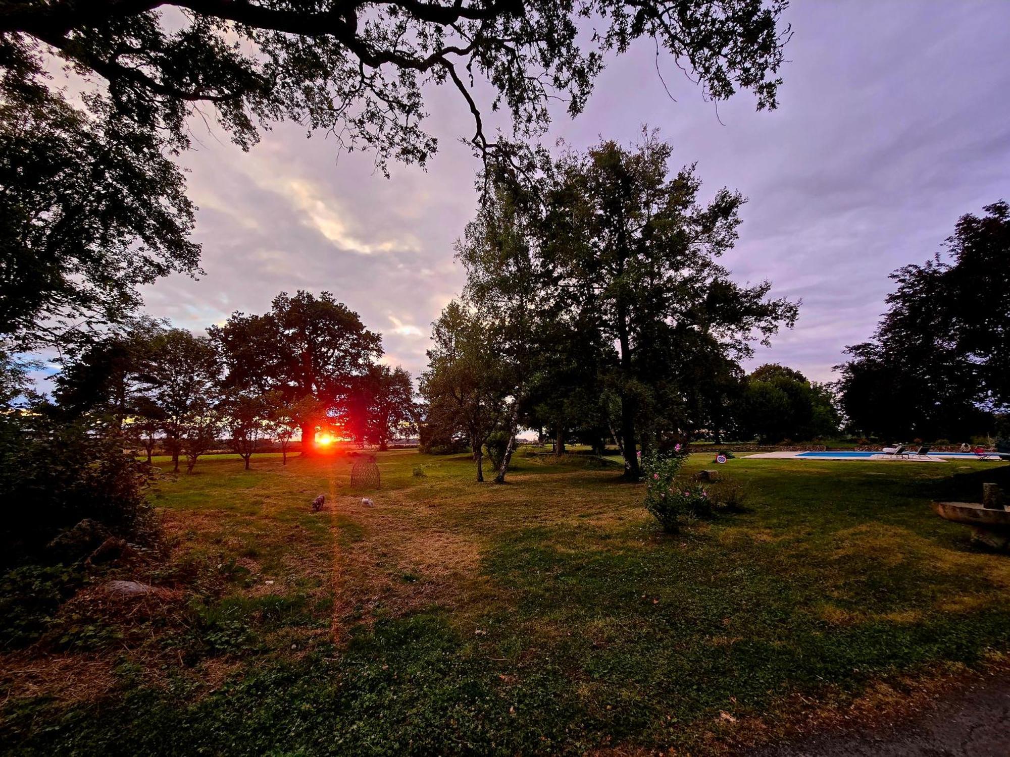 Domaine Des Bruns Bed & Breakfast Chatillon-Coligny Exterior photo